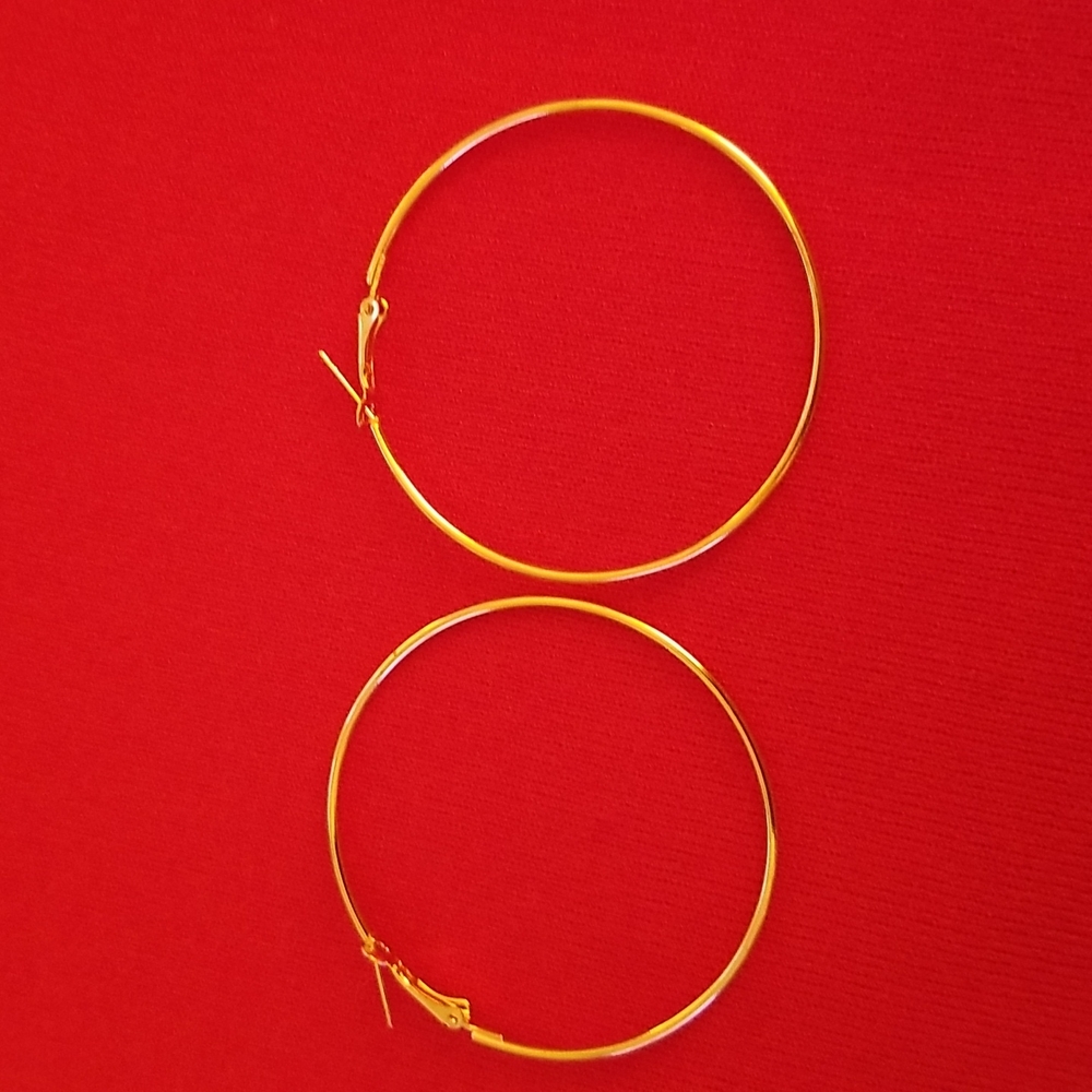 Hoop Goldtone Earrings - Picture 6 of 6